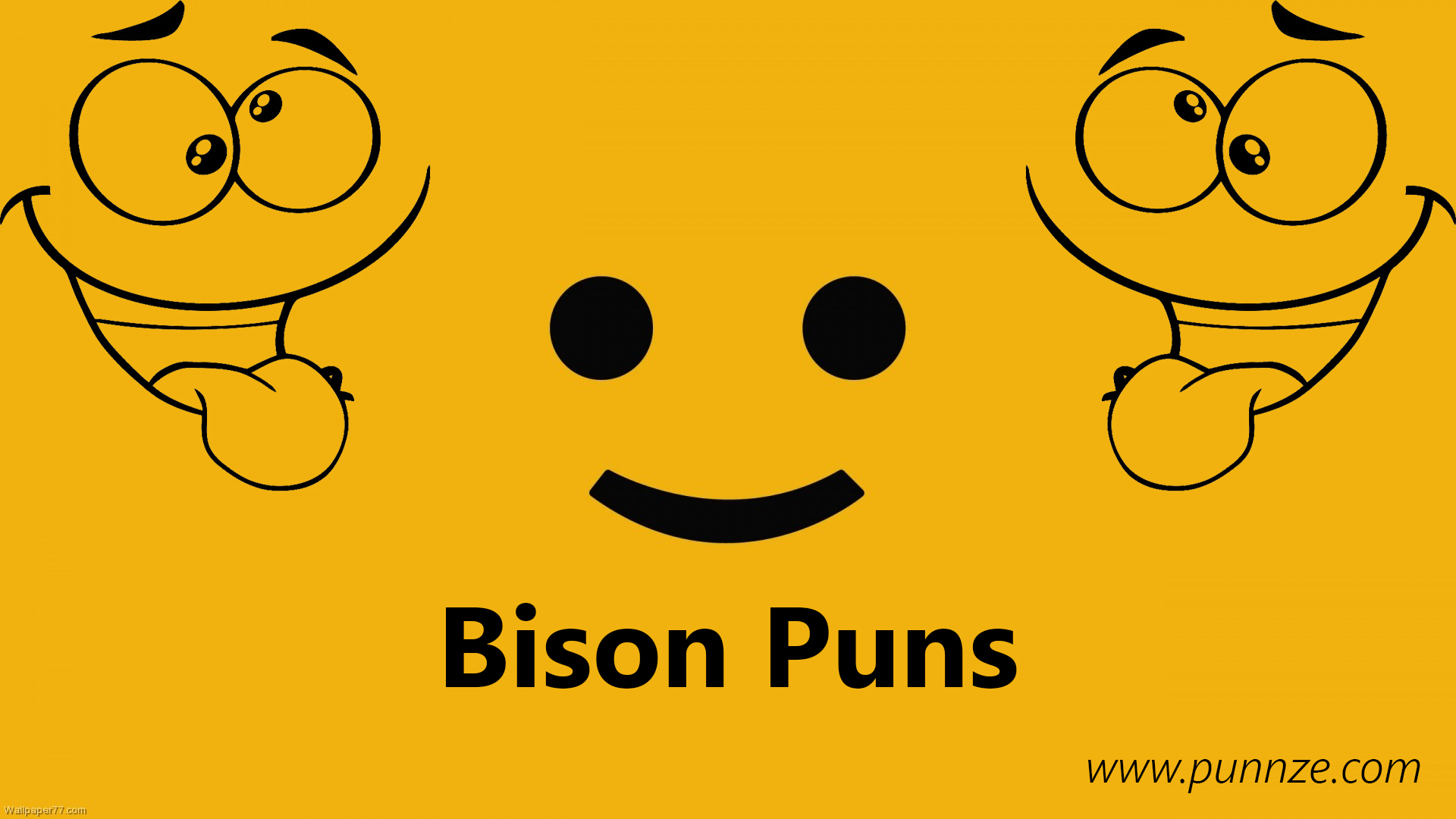Bison Puns