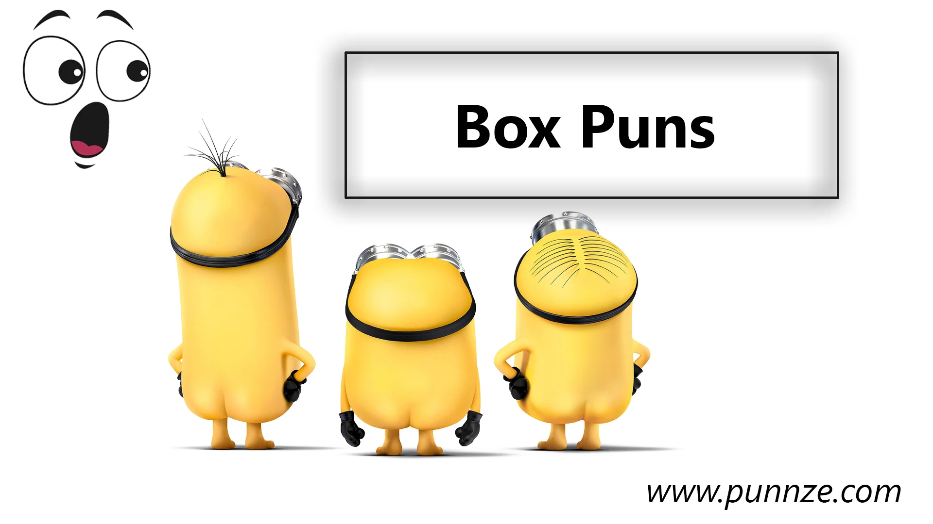 Box Puns