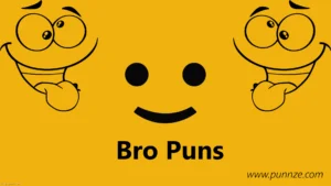 Bro Puns