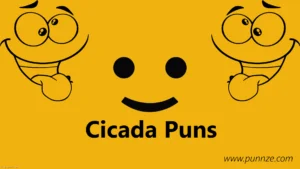 Cicada Puns