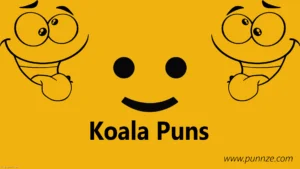 Koala Puns