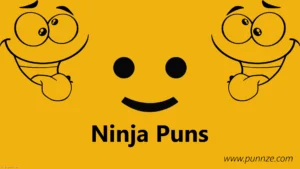 Ninja Puns