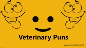 Veterinary Puns