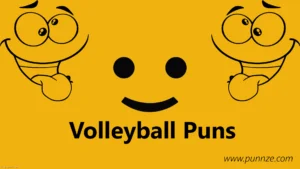 Volleyball Puns