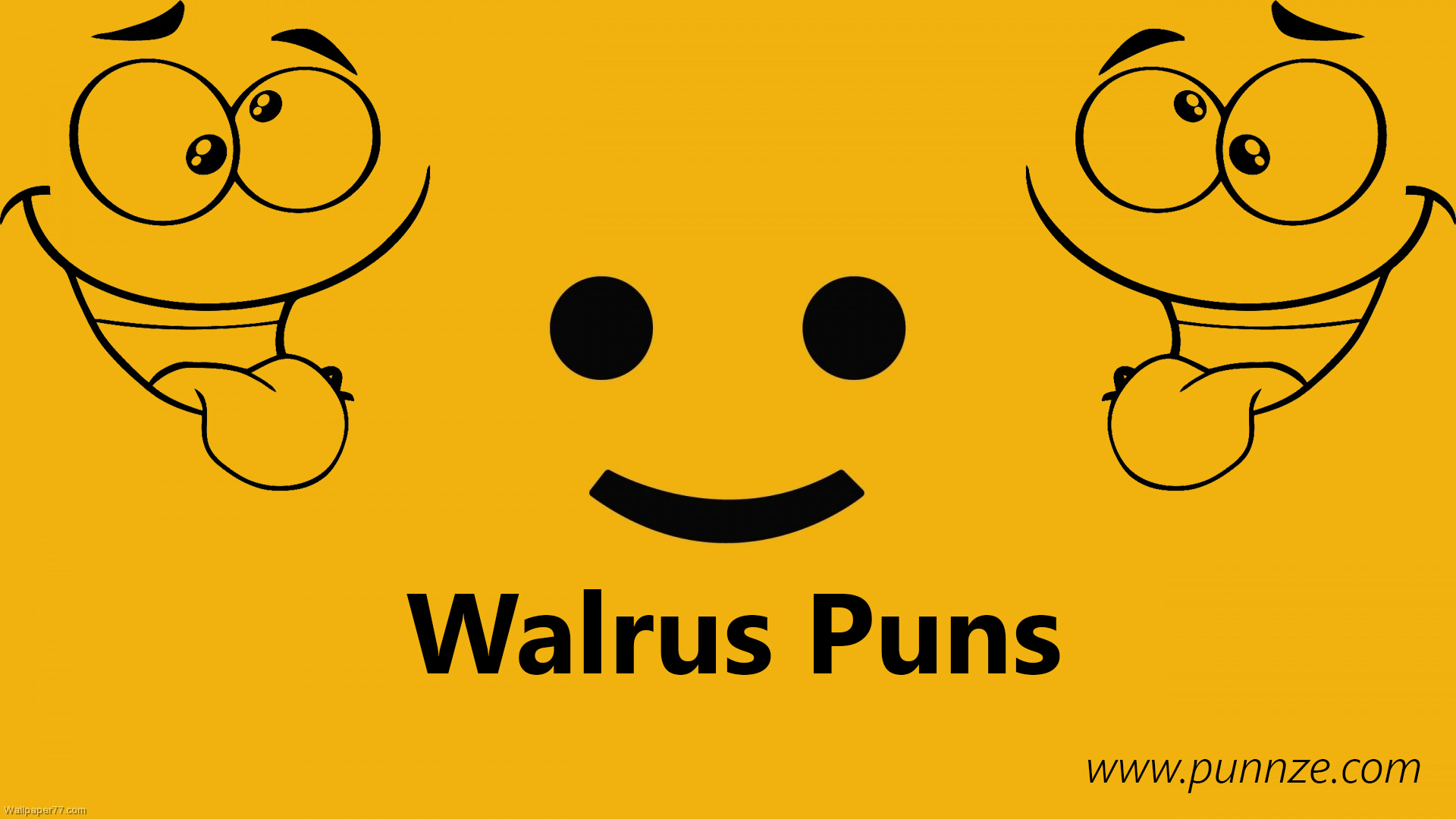 Walrus Puns