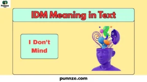 IDM Meaning in Text