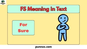 FS Meaning in Text