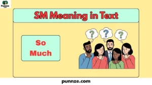 SM Meaning in Text
