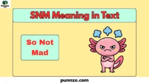 SNM Meaning in Text