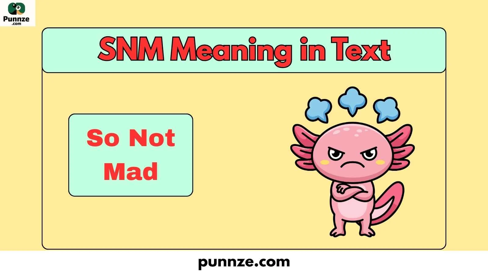 SNM Meaning in Text
