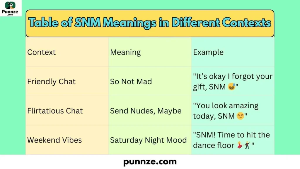 Table of SNM Meanings in Different Contexts