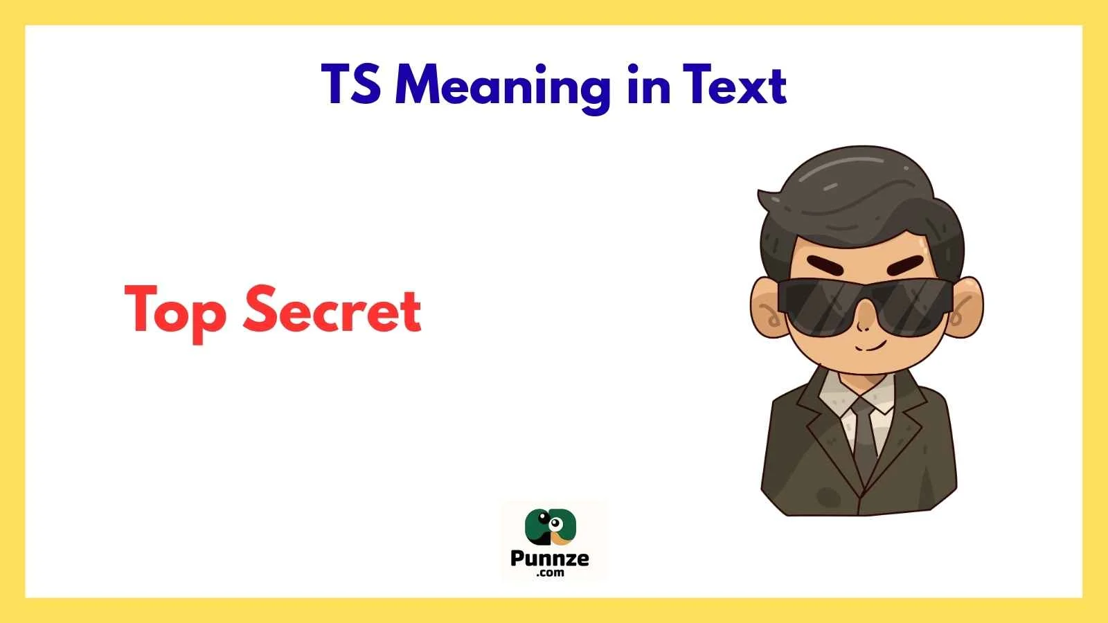 TS Meaning in Text