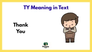 TY Meaning in Text