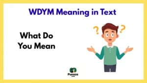 WDYM Meaning in Text