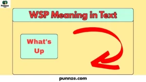 WSP Meaning in Text