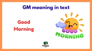 GM meaning in text