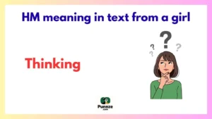 HM meaning in text from a girl