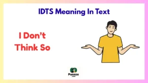 IDTS Meaning In Text