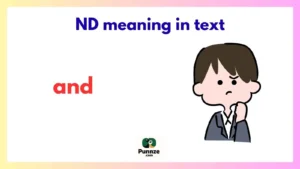 ND meaning in text