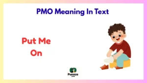 PMO Meaning In Text