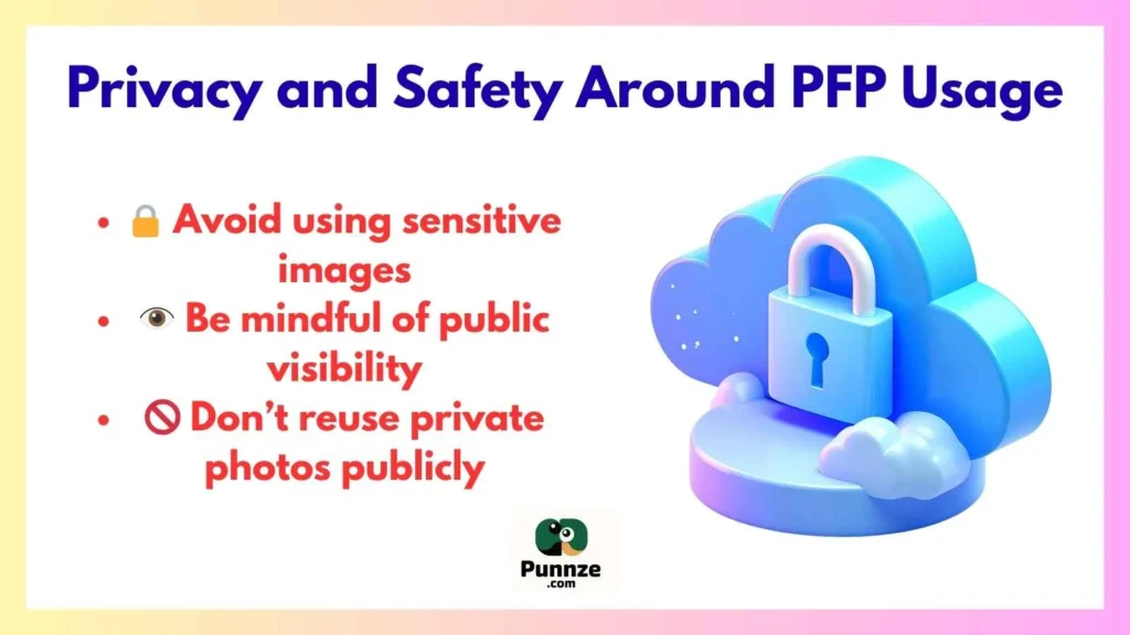 Privacy and Safety Around PFP Usage