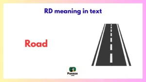 RD meaning in text