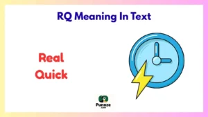 RQ Meaning In Text