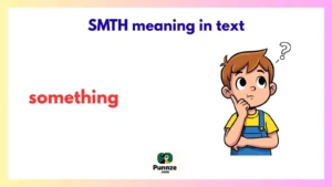 SMTH meaning in text
