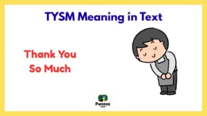 TYSM Meaning in Text