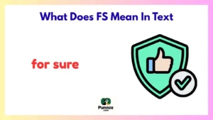 What Does FS Mean In Text