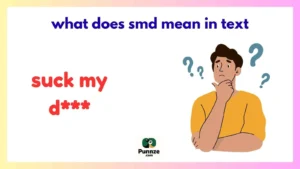 what does smd mean in text