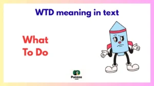 WTD meaning in text