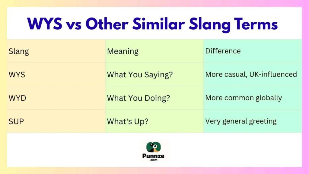 WYS vs Other Similar Slang Terms 