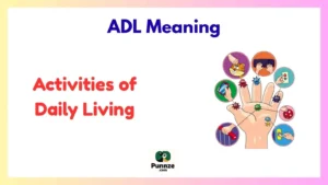 ADL Meaning