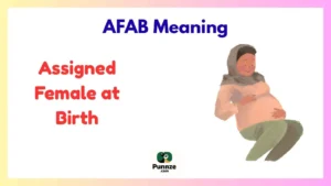 AFAB Meaning