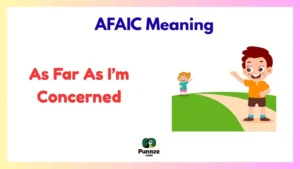 AFAIC Meaning