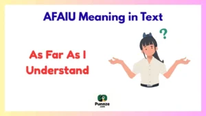 AFAIU Meaning in Text